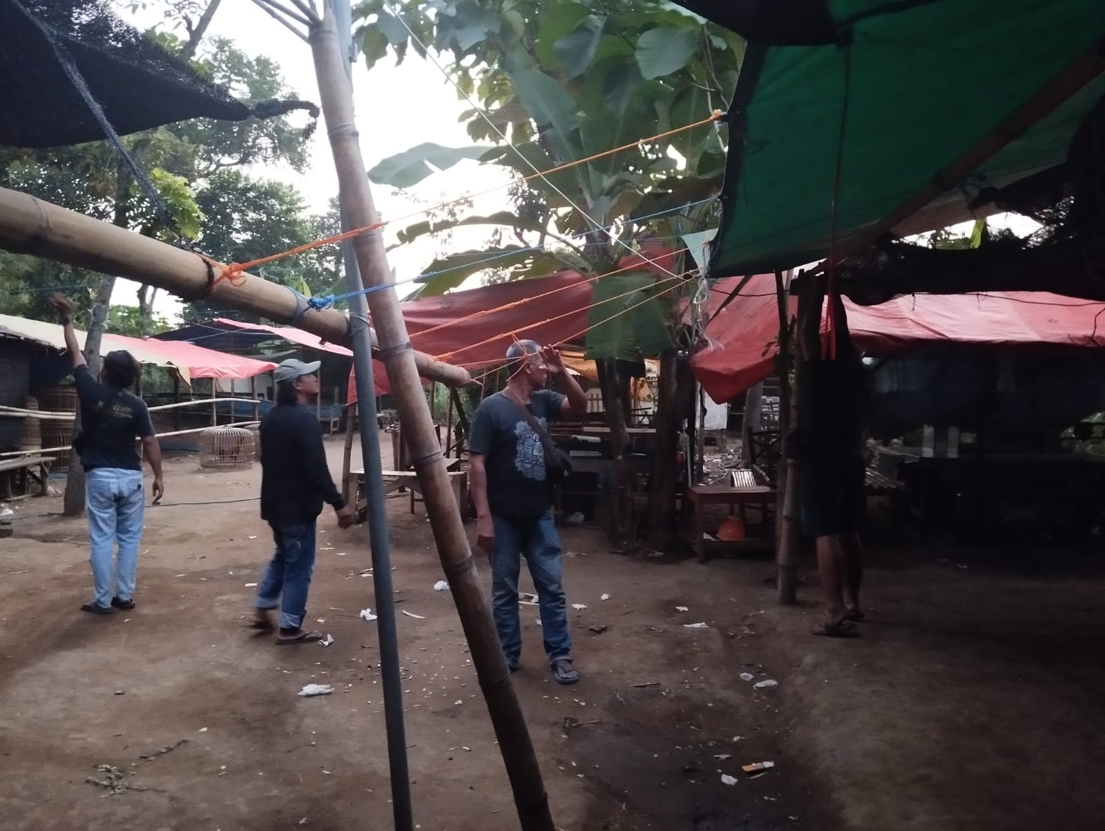 Img 20240527 Wa0025 1