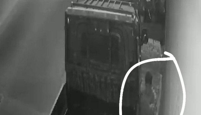 Pencuri Gondol Pick Up Di Geluran Taman, Aksinya Terekam Cctv