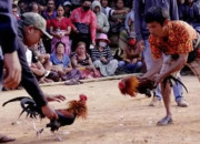 Perjudian Kecamatan Srengat Blitar Kota Tidak Tersentuh Hukum;Lsm Gempar Akan Tindak Lanjuti