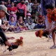 Img 20240613 Wa0119 1
