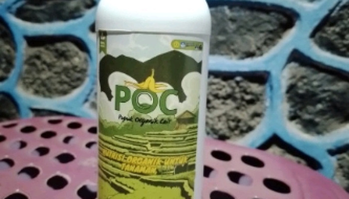 Kulit Pisang, Limbah Yang Dapat Digunakan Dalam Membuat Pupuk Organik Cair