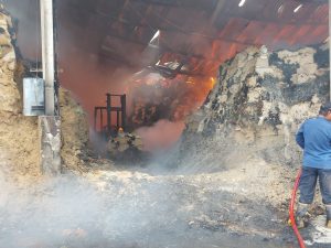 Sebuah Gudang di Sidoarjo Ludes Dilalap Si Jago Merah, Belasan Ton Bekatul dan Empat Kendaraan Hangus Terbakar 2 Img 20240623 Wa0018