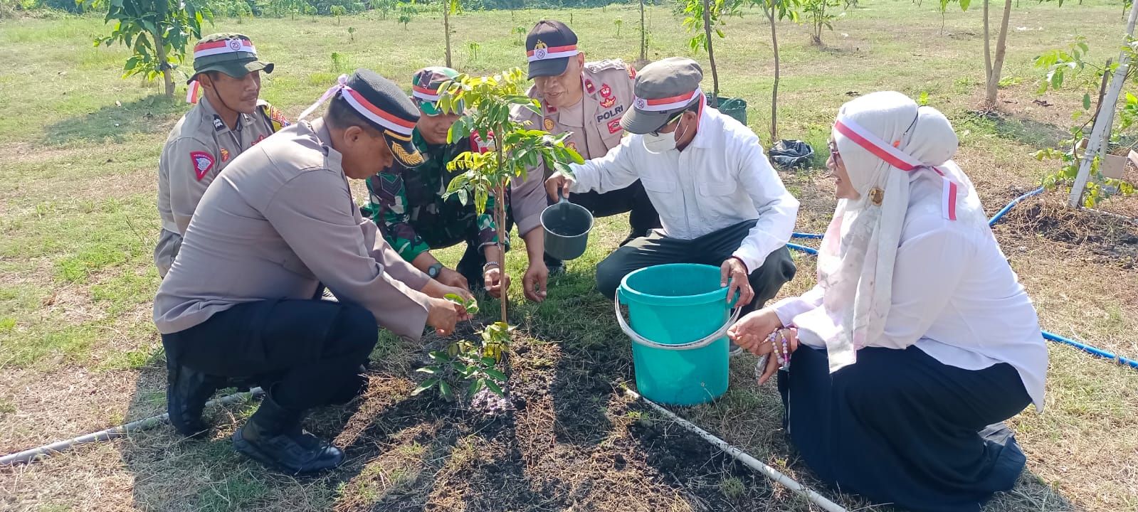 Img 20240626 Wa0019 1