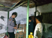 Polisi Berhasil Amankan Ratusan Botol Miras Jenis Arak Di Situbondo