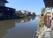 Diduga Ada Penampakan Buaya Putih Di Sungai Butung Waru