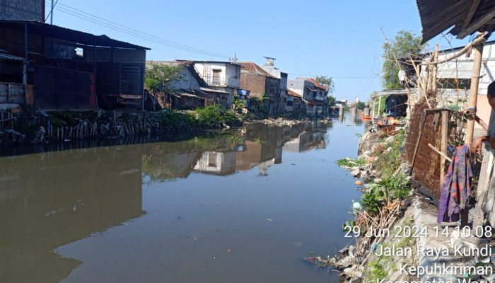 Diduga Ada Penampakan Buaya Putih Di Sungai Butung Waru