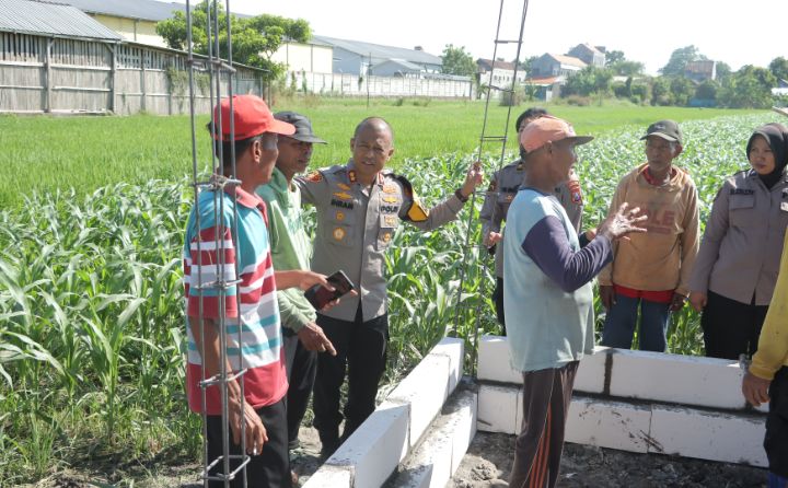 Img 20240615 132202 1