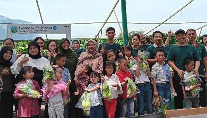 Mengintip Keseruan Mahasiswa Agribisnis Program Magang Mandiri Upn “Veteran“ Jawa Timur Di Pt Kebunsayur Surabaya 