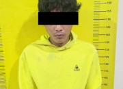 Polisi Amankan Terduga Pelaku Pencurian Modus Cari Rumput