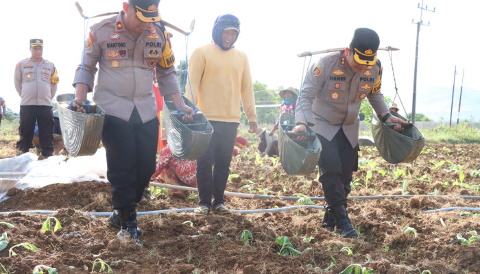 Polres Sumenep Dukung Peningkatan Ekonomi Petani Melalui Kegiatan Menanam Tembakau Bersama Masyarakat