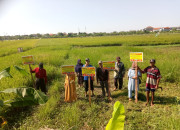 Diduga Mau Direbut, Ahli Waris Giman Pasang Himbauan Di Lahan Sawah