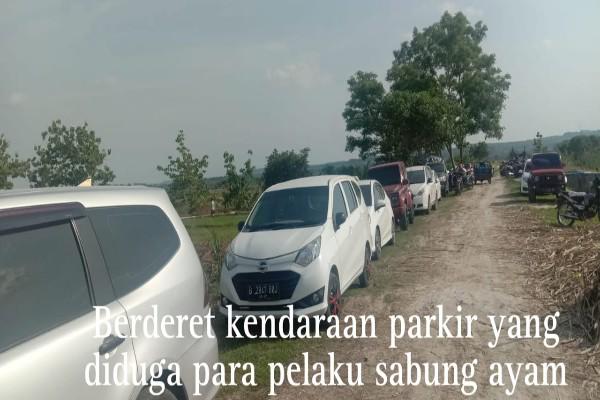 Img 20240807 Wa0074 1