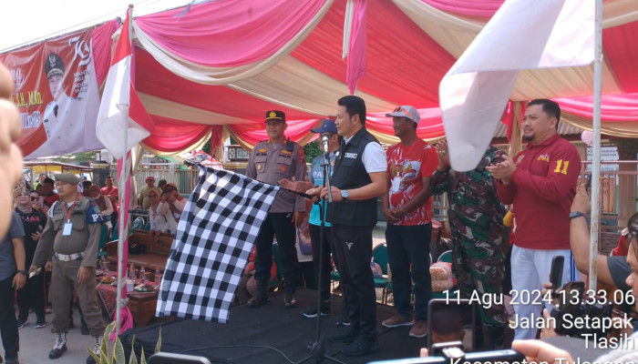 Peringati Hut Kemerdekaan Ri Ke 79, Pemdes Tlasih Gelar Lomba Karnaval Diikuti 30 Peserta