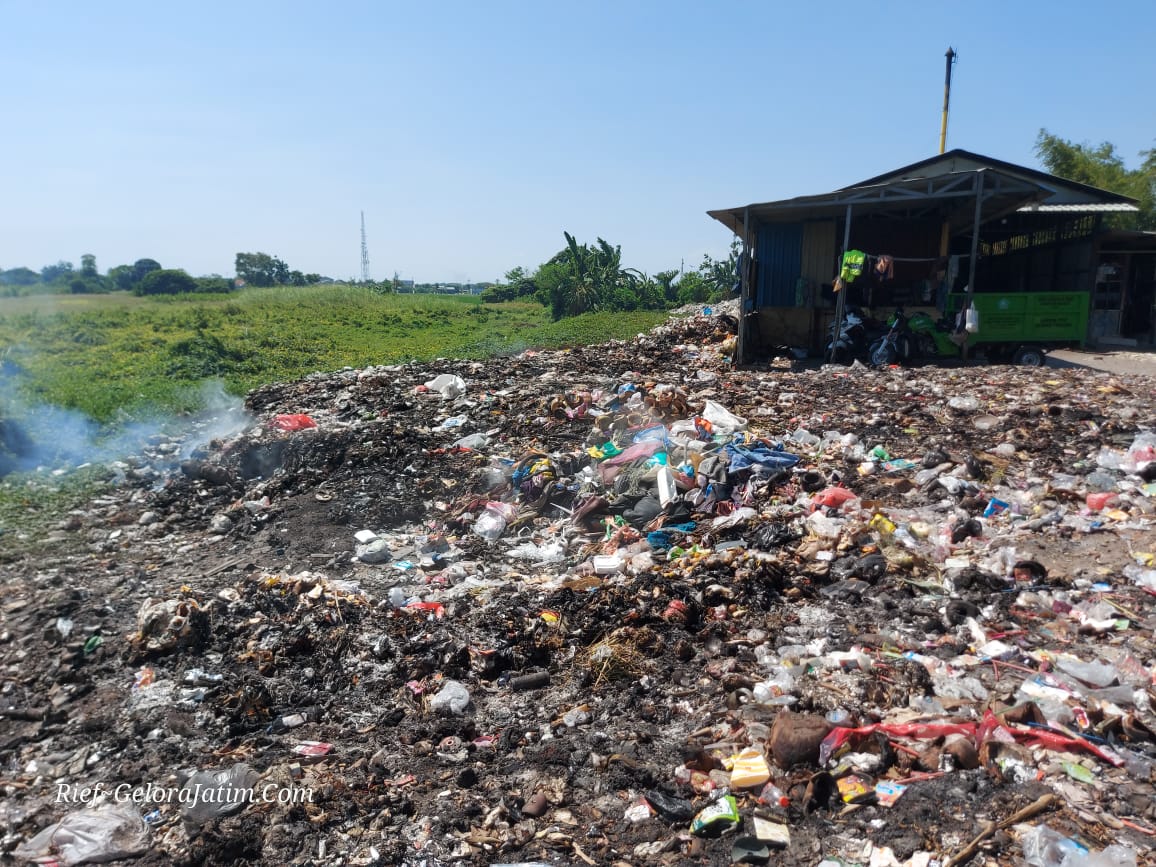 Img 20240813 Wa0027 1