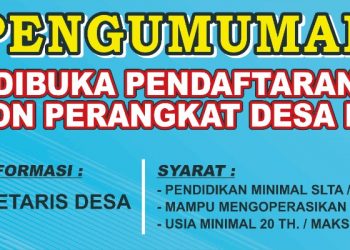 Pengumuman Penerimaan Calon Perangkat Desa Pepe