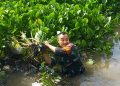 Komandan Kodim 0816 Sidoarjo Pimpin Langsung Kerja Bakti di Sungai Pelayaran Desa Tanjungsari Taman