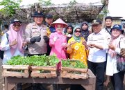 Polsek Taman – Pemdes Sambibulu Bercocok Tanam Terong Dan Cabe
