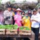 Img 20250122 Wa0044 1