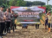 Polsek Taman Tanam Jagung Serentak Di Lahan Tkd Kelurahan Sepanjang 