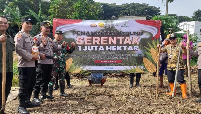 Polsek Taman Tanam Jagung Serentak Di Lahan Tkd Kelurahan Sepanjang 