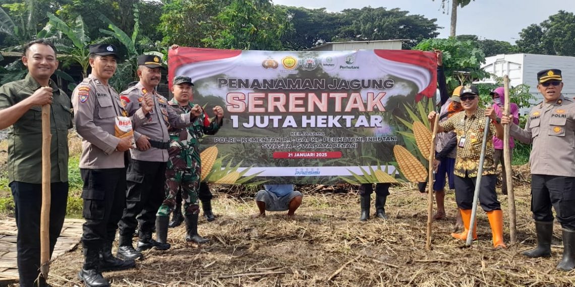 Polsek Taman Tanam Jagung Serentak di Lahan TKD Kelurahan Sepanjang 