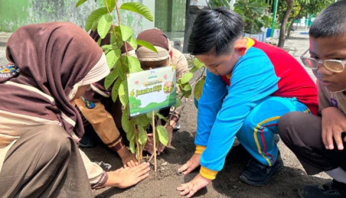 Sd Al Muslim Peringati Gerakan Satu Juta Pohon Dengan Tebar Kebermanfaatan