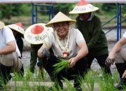 Tanam Padi Bersama : Pemkab Sidoarjo Siap Dukung Program Contract Farming Dki Jakarta Dengan Jatim