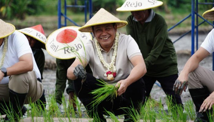 Tanam Padi Bersama : Pemkab Sidoarjo Siap Dukung Program Contract Farming Dki Jakarta Dengan Jatim