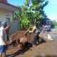 Img 20250202 Wa0021 1