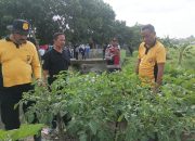 Kapolsek Krian Turun Langsung Cek Ketahanan Pangan Di Desa Junwangi 