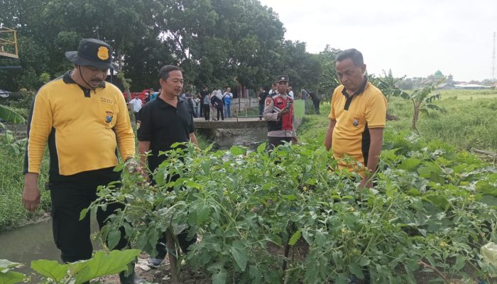 Kapolsek Krian Turun Langsung Cek Ketahanan Pangan Di Desa Junwangi 