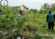 Sengketa Tanah Di Dusun Cumpleng Bangsri Mulai Memanas