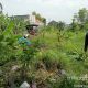 Img 20250212 Wa0001 1