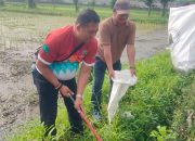 Camat Taman Terus Komitmen Berjihad Melawan Sampah 