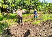 Bhabinkamtibmas Desa Jiken Tulangan Pastikan Optimalisasi Pengolahan Lahan Pangan Bergizi