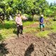 Img 20250216 Wa0029 1