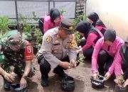 Forkopimca Kejayan Dan Ranting Bhayangkari Perkuat Ketahanan Pangan Dengan Program Pekarangan Pangan Lestari