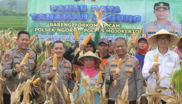 Usai Curhat Ke Kapolres Mojokerto Petani Jagung Lega Hasil Panen Diserap Bulog Sesuai Hpp