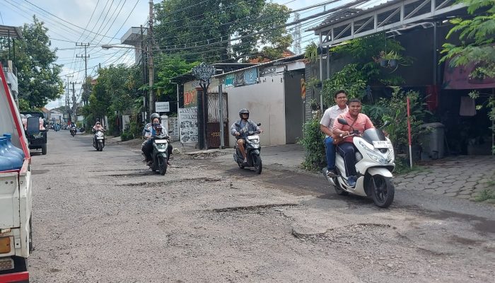 Tak Kunjung Diperbaiki, Warga Sepanjang Ancam Akan Tanam Pohon Pisang Di Jalan Rusak 