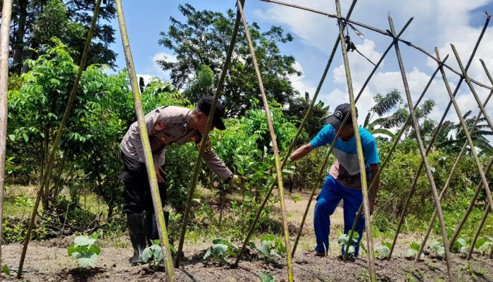 Polisi Cek Ketahanan Pangan Di Desa Sambibulu