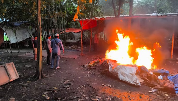 Polsek Tarik Gerebek Arena Sabung Ayam Di Desa Kedinding, Amankan Barang Bukti Dan Bakar Arena Judi