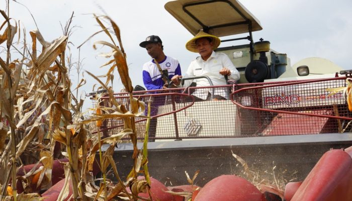 Bupati Subandi Dukung Penuh Program Ketahanan Pangan Nasional