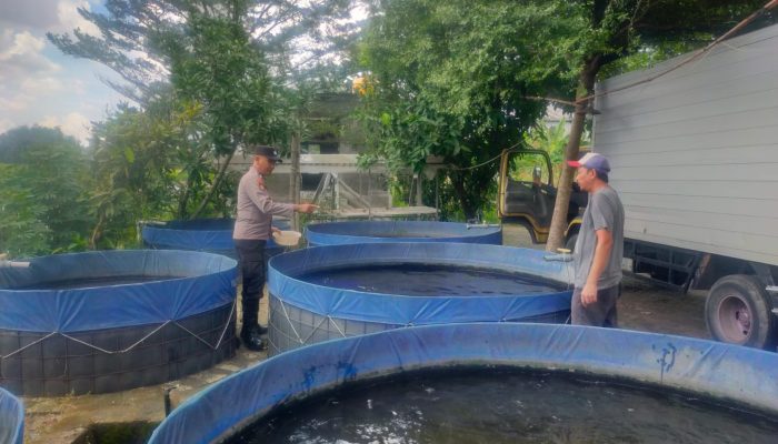 Polisi Apresiasi Warga Desa Pertapan Maduretno Manfaatkan Lahan Kosong Untuk Budidaya Lele