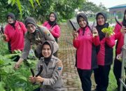 Bhayangkari Ranting Polsek Krian Panen Raya P2L Di Desa Ponokawan