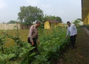 Jalankan Program Asta Cita Presiden, Sdn Kedung Sugo I Manfaatkan Lahan Kosong Untuk Ketahanan Pangan