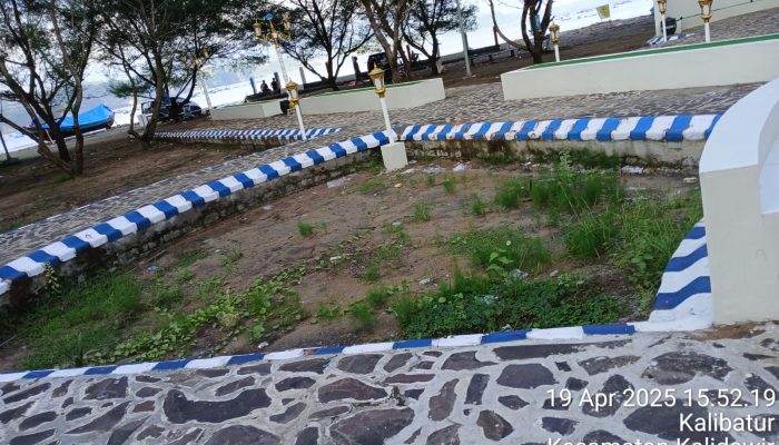 Proyek Landscape Di Pelabuan Perikanan Sine Terindikasi Dikorupsi, Ketua Dpd Gmpk Tulungagung Akan Laporkan Ke Aph