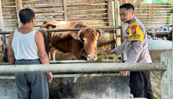 Polsek Lengkong Pantau Peternakan Warga, Antisipasi Penyakit Pmk