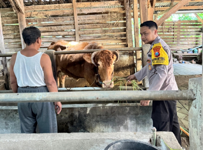 Screenshot 20250404 174903 1 1