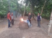 Polisi Datangi Lokasi Judi Sabung Ayam Di Krian