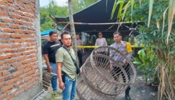 Polsek Bagor Bongkar Arena Sabung Ayam Di Sugihwaras, Warga Diminta Tak Biarkan Perjudian Berkembang